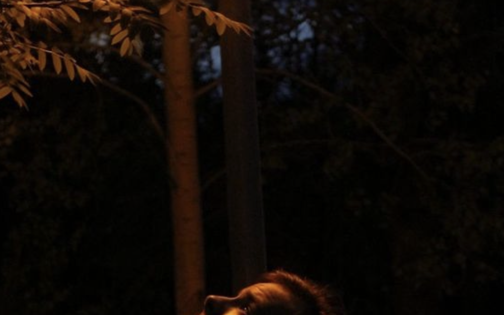 И я хотела бы тебя стереть из памяти. Но из сердца тебя не вырезать