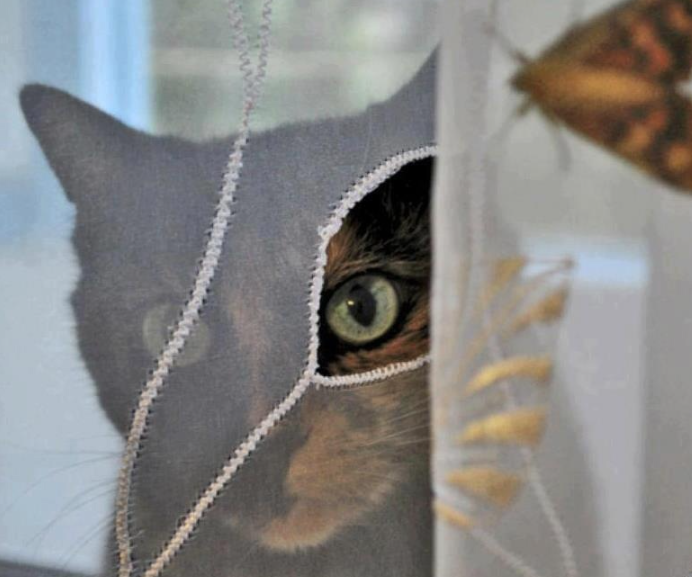 Изображение из открытых источников