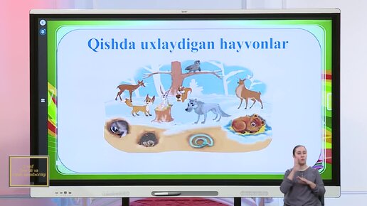 Qizlar shaffof liboslar porno