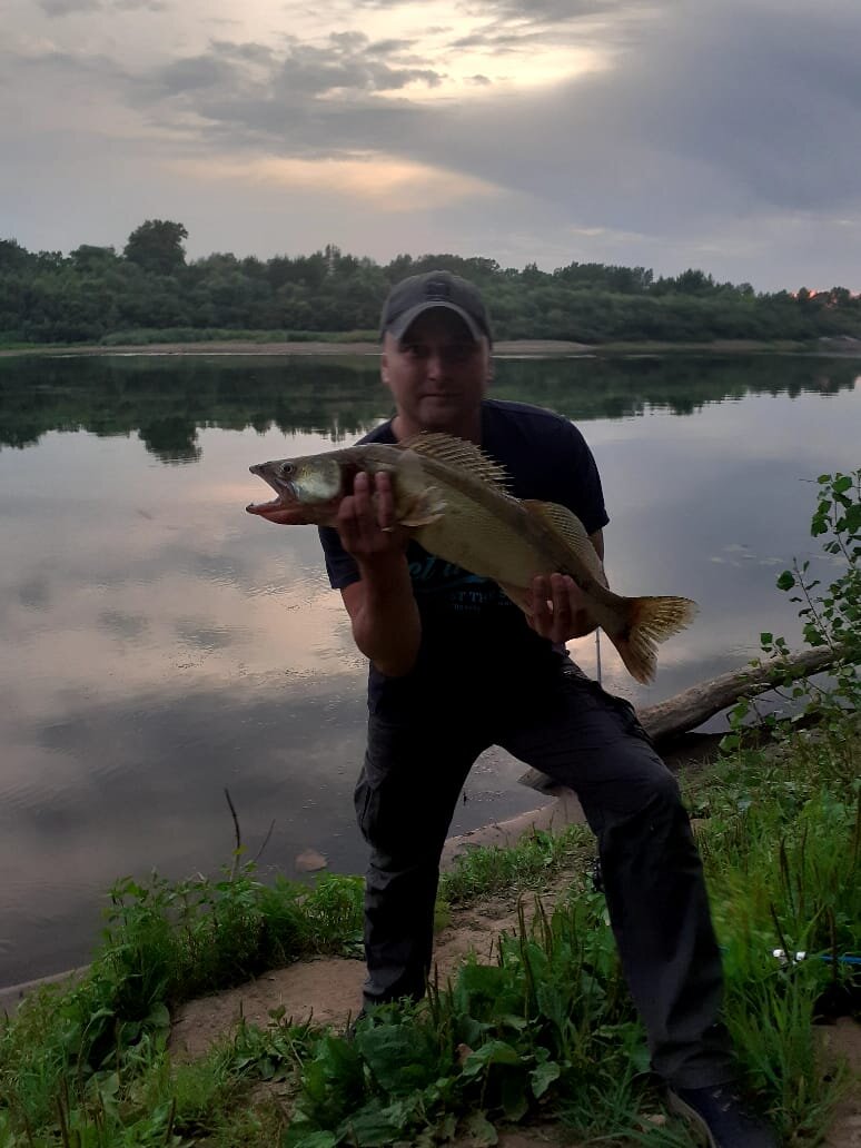 Трофейный судак вес около 4 кг