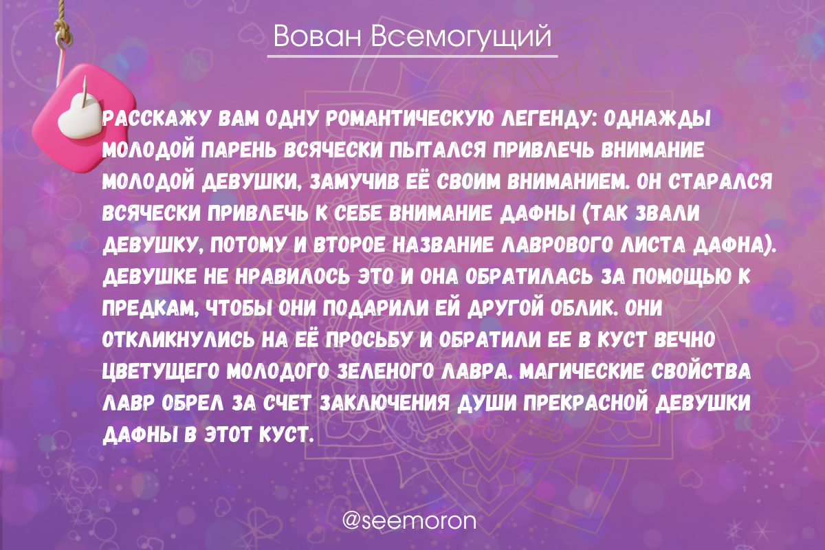 Топ-7 практик с лавровым листом для приумножения финансов у себя и в ...