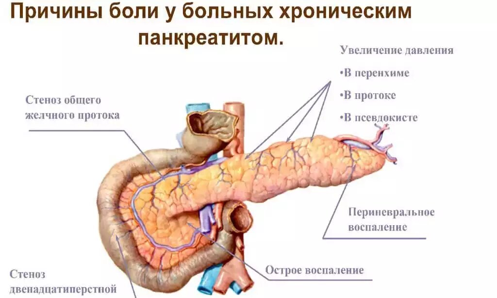 Больше информации на нашем сайте - https://www.med24.online/articles/.