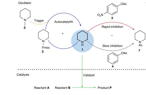   Matthijs ter Harmsel et al. / Nature, 2023
