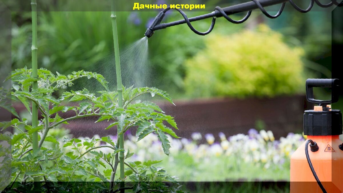 https://vk.com/photo-159774511_456241365