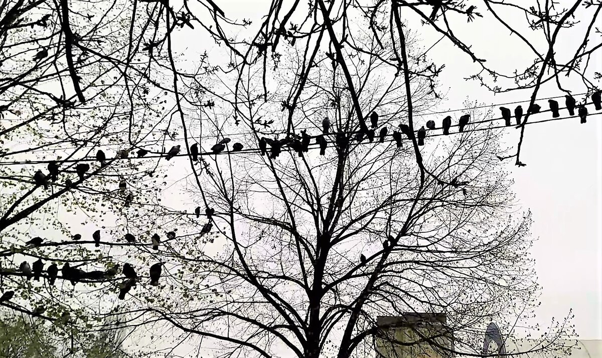 Фото из личного архива