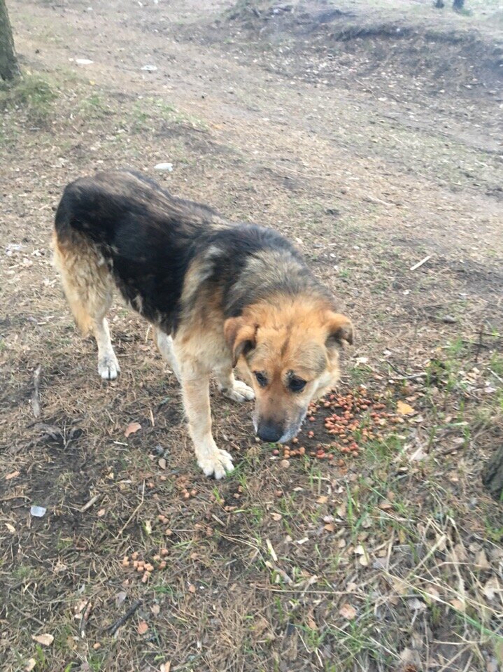 фото из группы ВК https://vk.com/club179816308