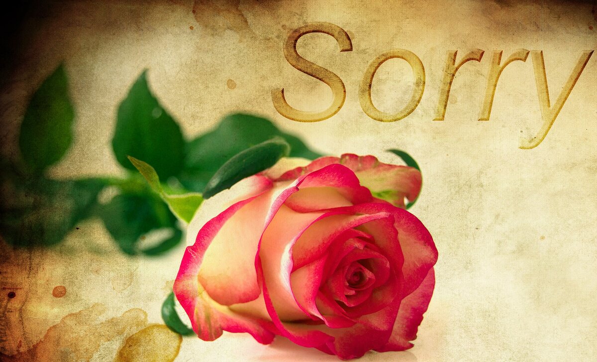 https://pixabay.com/ru/