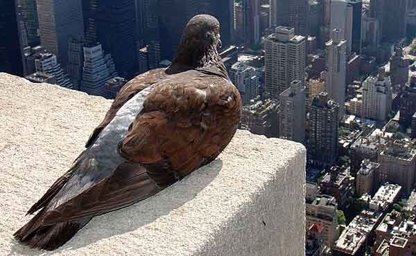 Источник фото: rebloggy.com