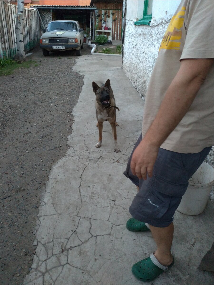 "Можно я маму встречу?"