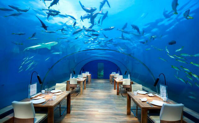 Источник (otdih-na-maldivah.ru)