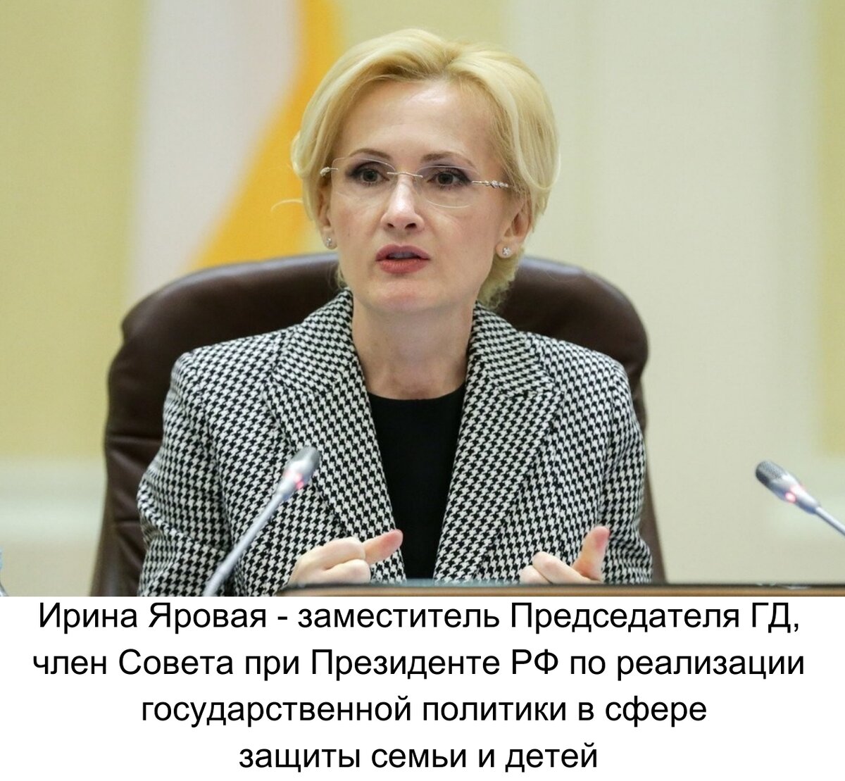 И. Яровая внесла много предложений, касающихся детей