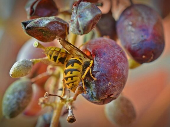 Фото: stroy-podskazka.ru