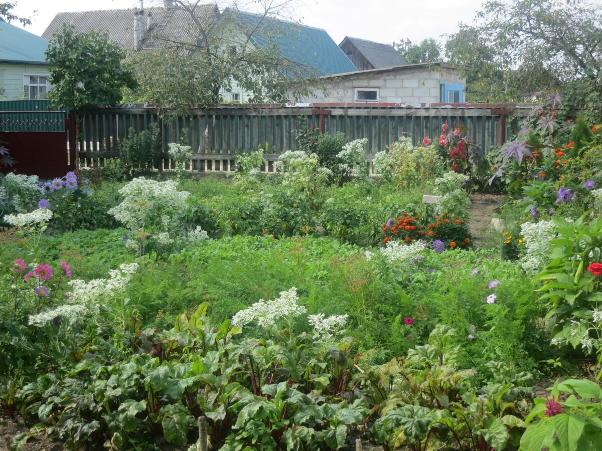 Огород мамы