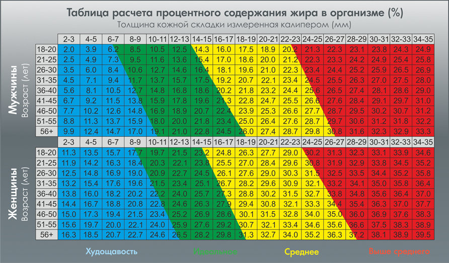 Как понять, как процент жировых отложений в вашем теле