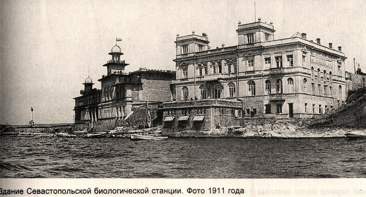 1911г. Узнаете?