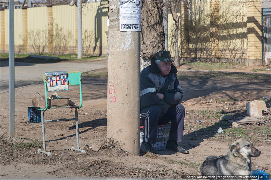 Астраханские черви