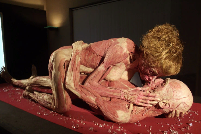 Изображение из открытых источников