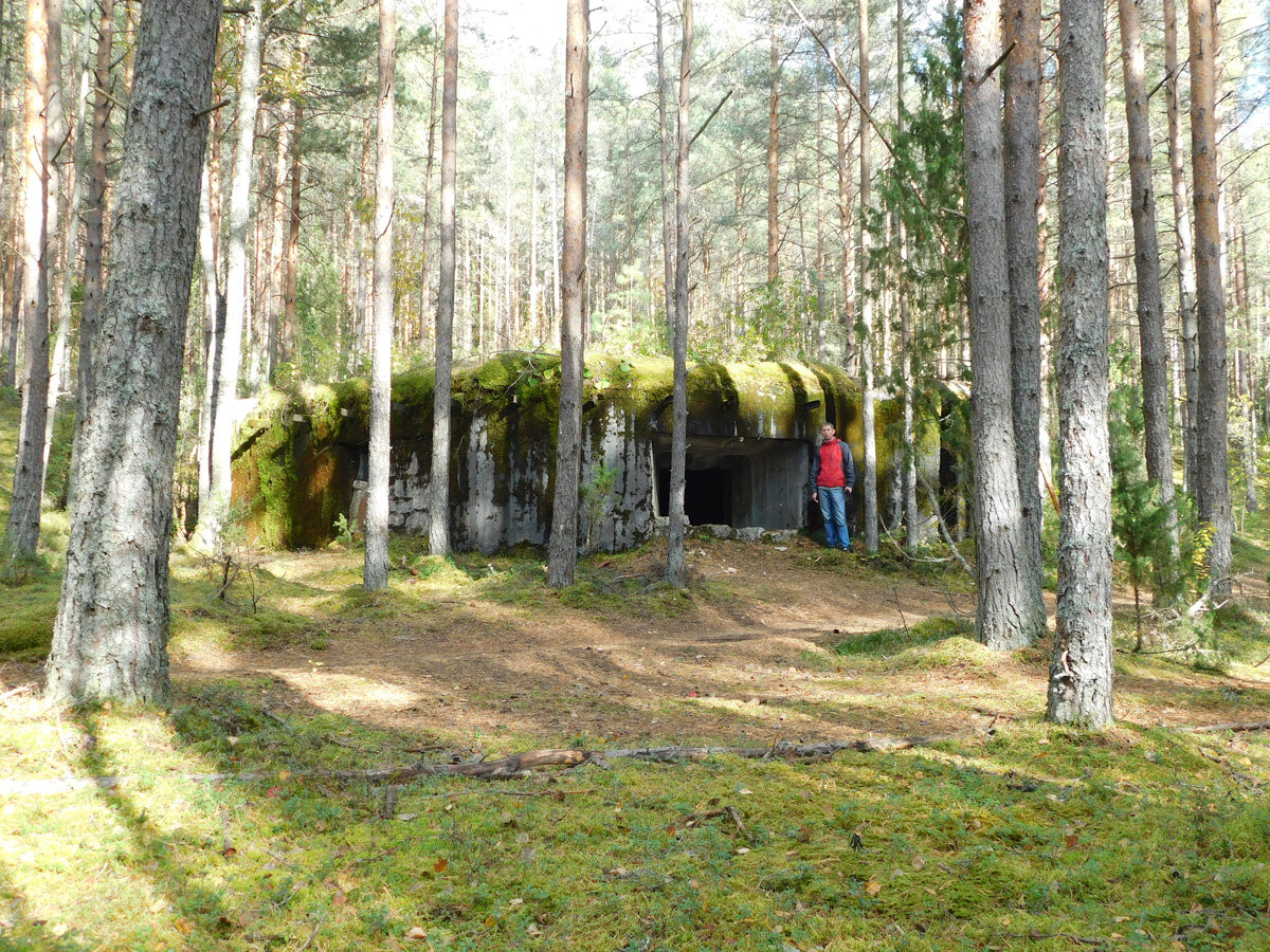 Одноэтажный полеметный ДОТ Псковского УР 1939 г. постройки ("Линия Сталина"). ДОТ расположен на краю болота, на небольшом пригорке, что позволило сделать подъэтажники сухими.