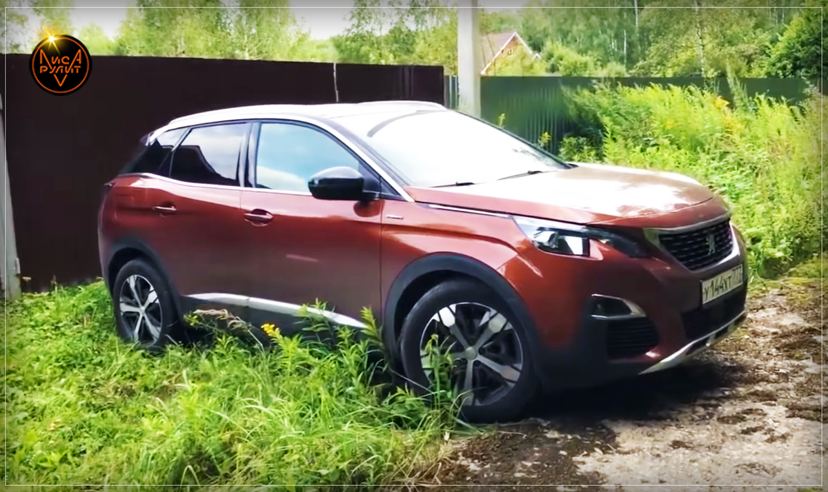 Лиса Рулит. Пежо 3008