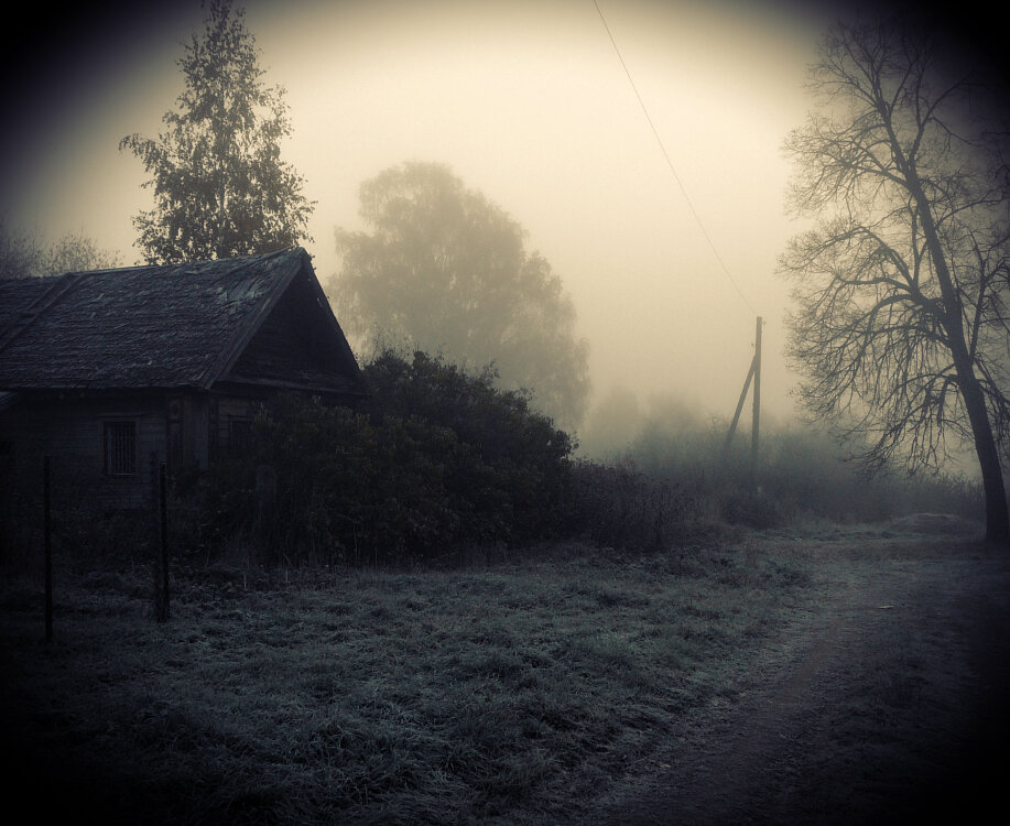 фото взято с простор интернета