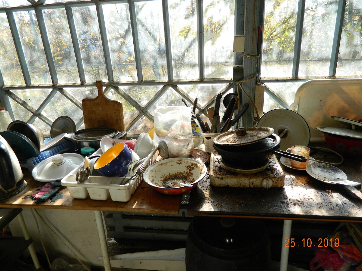 Чистота в доме как не жила, так и не живёт. Кухня в селе. Проще все выбросить, чем отмыть.