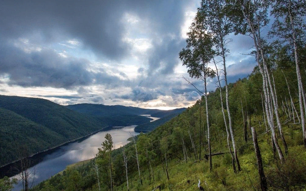 Регион обрамур. Хинганский заповедник Амурской области. Зейский заказник Амурская область. Зейский государственный природный заповедник. Зейский заповедник Амурской области фото.