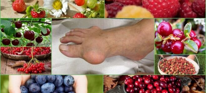 Клубника при подагре. Клубника при подагре можно или нет. Список продуктов запрещенных при подагре разрешенных продуктов. Список разрешенных и запрещенных продуктов при подагре. Диетаприповышегноймочевойкислоте.