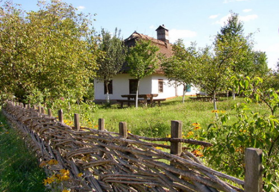 Фото с сайта Яндекс картинки.