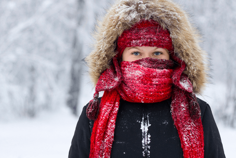 Фото из открытого источника 