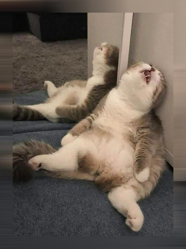 наверное он от нас набрался