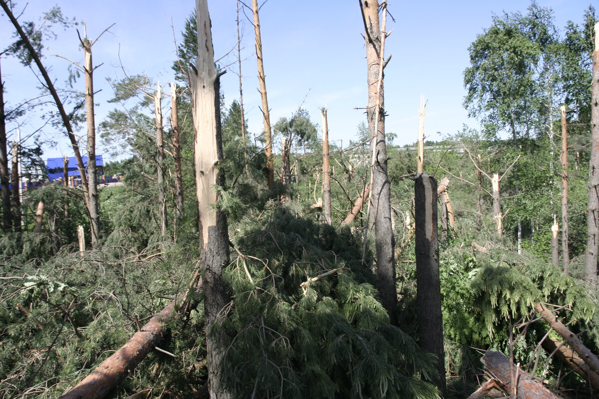 Фото Дмитрия Колпакова/Башмедиа