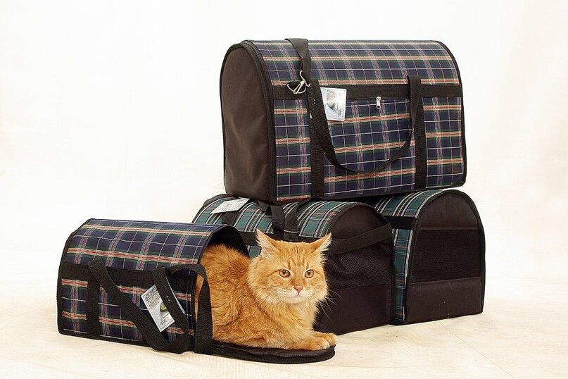 сумка-переноска