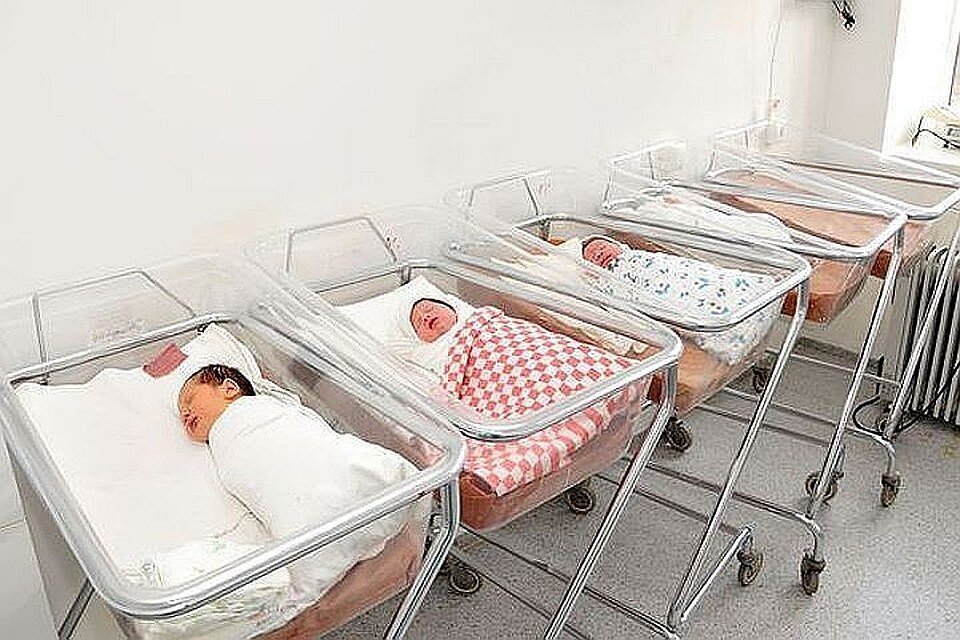 Изображение из интернета