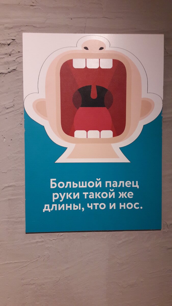 Музей. Фото из личного архива.