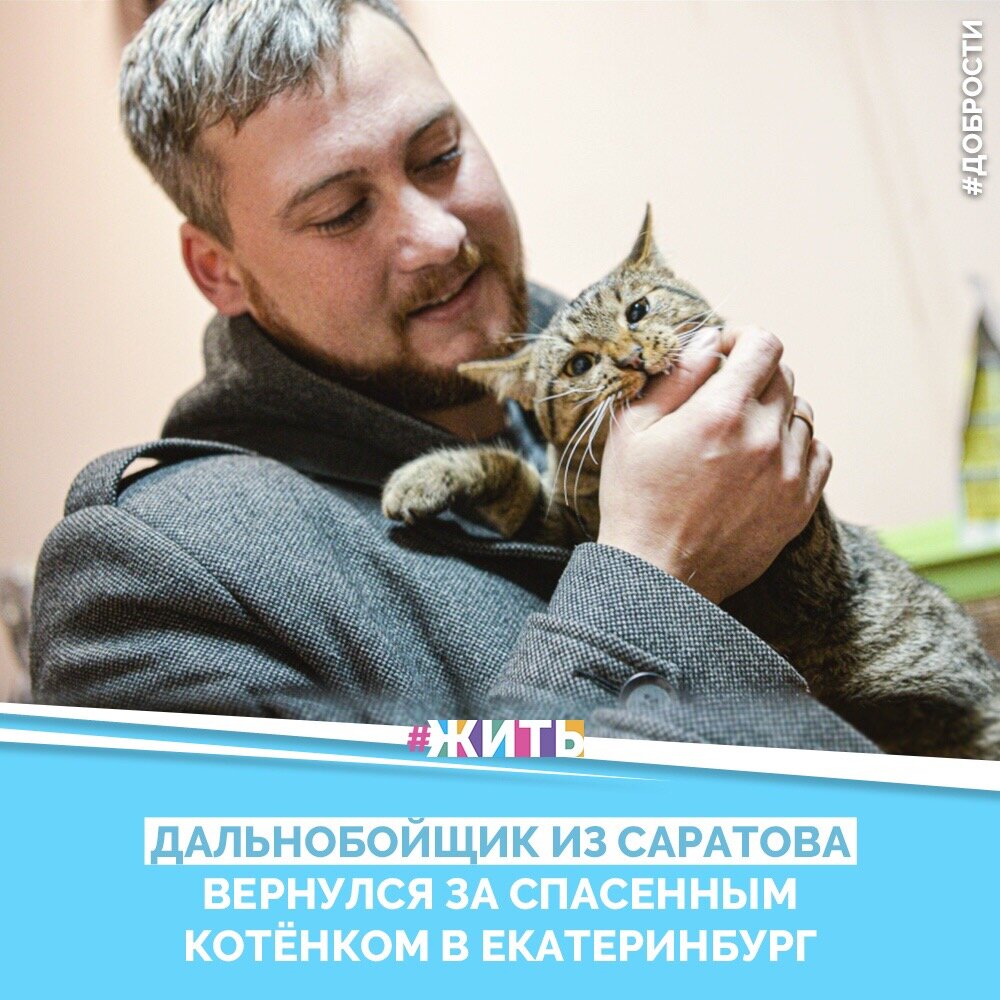 Рубрика "Добрости"❤️😁

ДАЛЬНОБОЙЩИК ИЗ САРАТОВА ВЕРНУЛСЯ ЗА СПАСЕННЫМ КОТЁНКОМ В ЕКАТЕРИНБУРГ

Дальнобойщик из Саратовской области Александр Ермолаев вернулся в Екатеринбург за котом, которого в августе израненным подобрал на трассе и отдал выхаживать ветеринарам. О встрече животного и хозяина рассказал местный портал E1.

Как сообщают журналисты, котенок, которого назвали Липтоном, содержался в Центре реабилитации животных УрГАУ, где восстанавливался после травм. У него была перебита задняя лапа, ее пришлось ампутировать, но кот приспособился бегать и прыгать на трех лапах. За четыре месяца Липтон полностью выздоровел, вырос и стал довольно упитанным. Своего спасителя он узнал сразу: пошел к нему на руки и перед камерой лизнул в лицо.

Александр Ермолаев ждал, когда кот окрепнет, чтобы забрать его домой, и переживал, что его могут кому-то отдать. В Екатеринбург он приехал с очередным рейсом и теперь вместе с Липтоном поедет домой. В дальнейшем он планирует не расставаться с котом и возить его с собой.

Друзья, делитесь этой добростью у себя на странице☺️
 Пусть о хороших и добрых новостях узнает как можно больше людей 😁 😊

#жить #проектжить #добрости