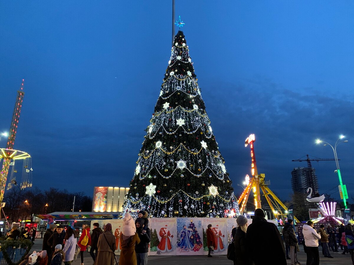 Ёлка на центральной площади