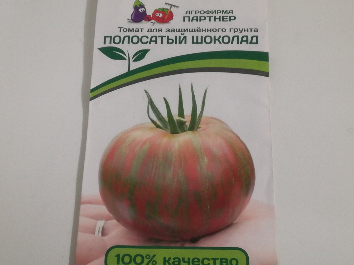 Томат полосатый шоколад характеристика и описание сорта. Семена томат полосатый шоколад. Томаты фирмы партнер полосатый шоколад. Томат полосатый шоколад партнер. Партнер фирма полосатые томаты.