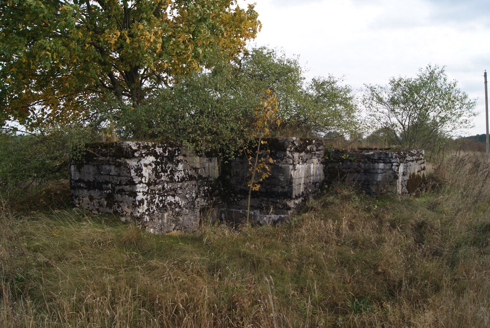 Немецкое пехотное убежище у д. Миничи. Ранее оно было скрыто в земляных валах, которые выровняли при мелиорации.