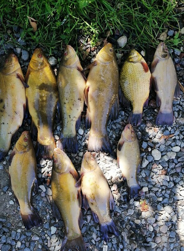 Фото любезно предоставлено Андреем Харьковым