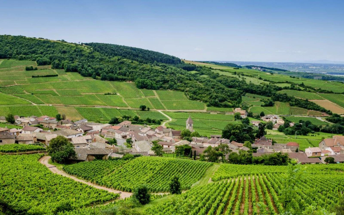 Шан-дю-буль. Франция