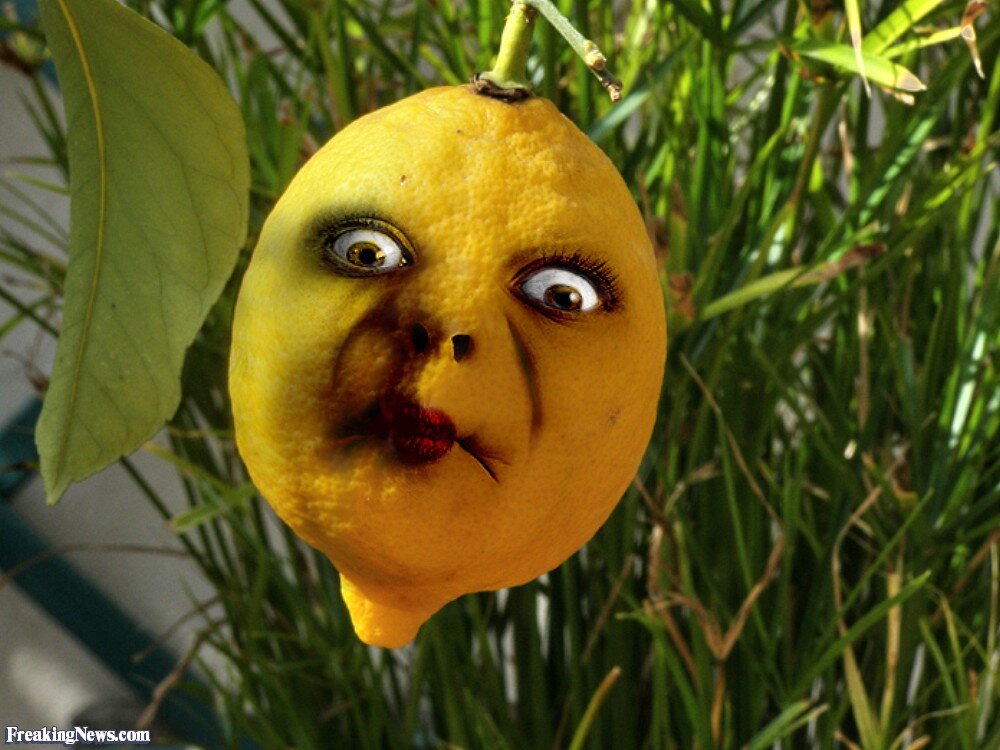 Но, увидев выражение моего лица, как будто я вкусила лимона вместо персика, успокоил –  и 30 раз для начала достаточно. 