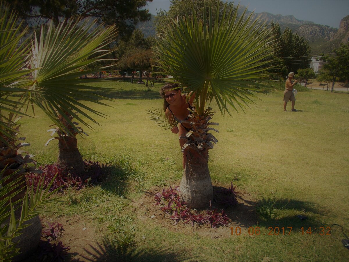 Вон он, за заднем плане в шляпе и шортах) Собака в кадр не поместилась)))