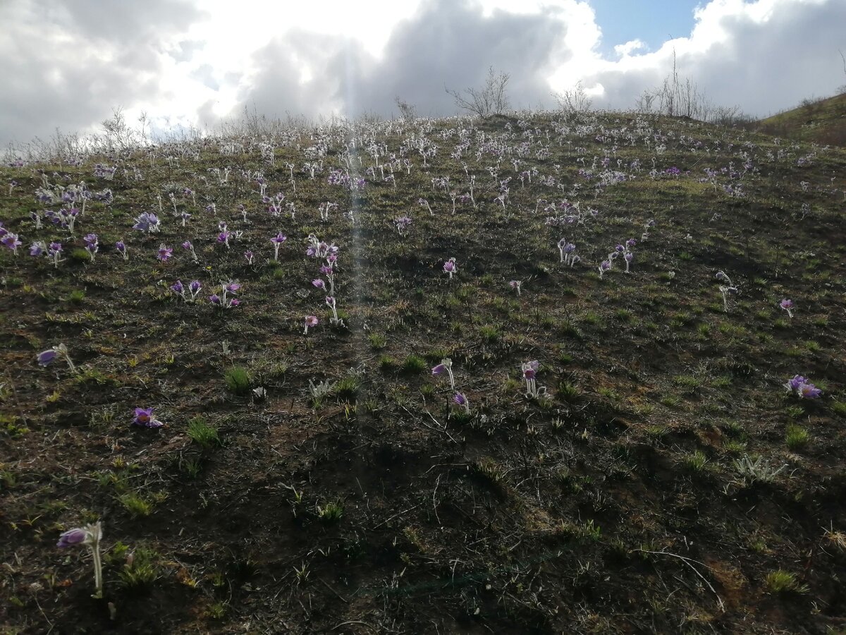 Рассвет, но нет! Тучиииии, испортили мне день вот так вот