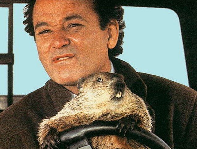 кадр из к/ф "День сурка", реж. Г. Рамис