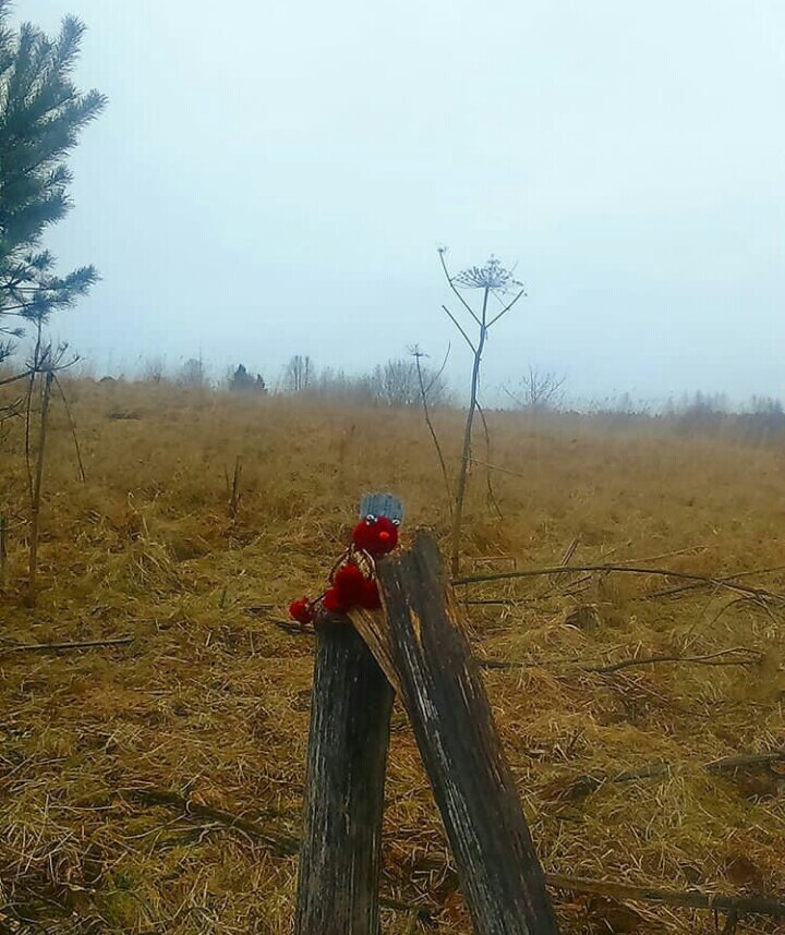 Ядик  )