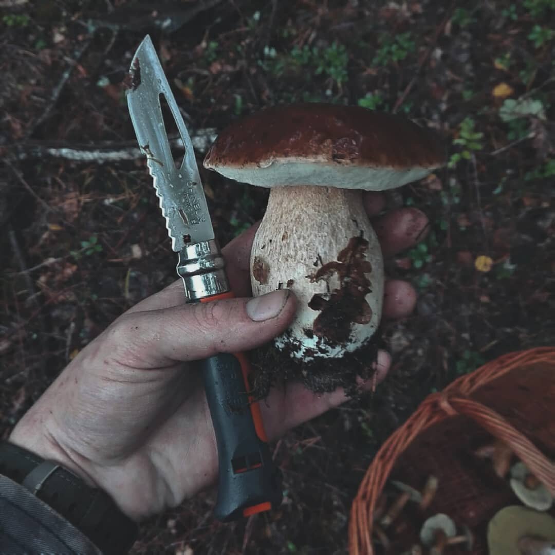 Современные модели серии Opinel Outdor.