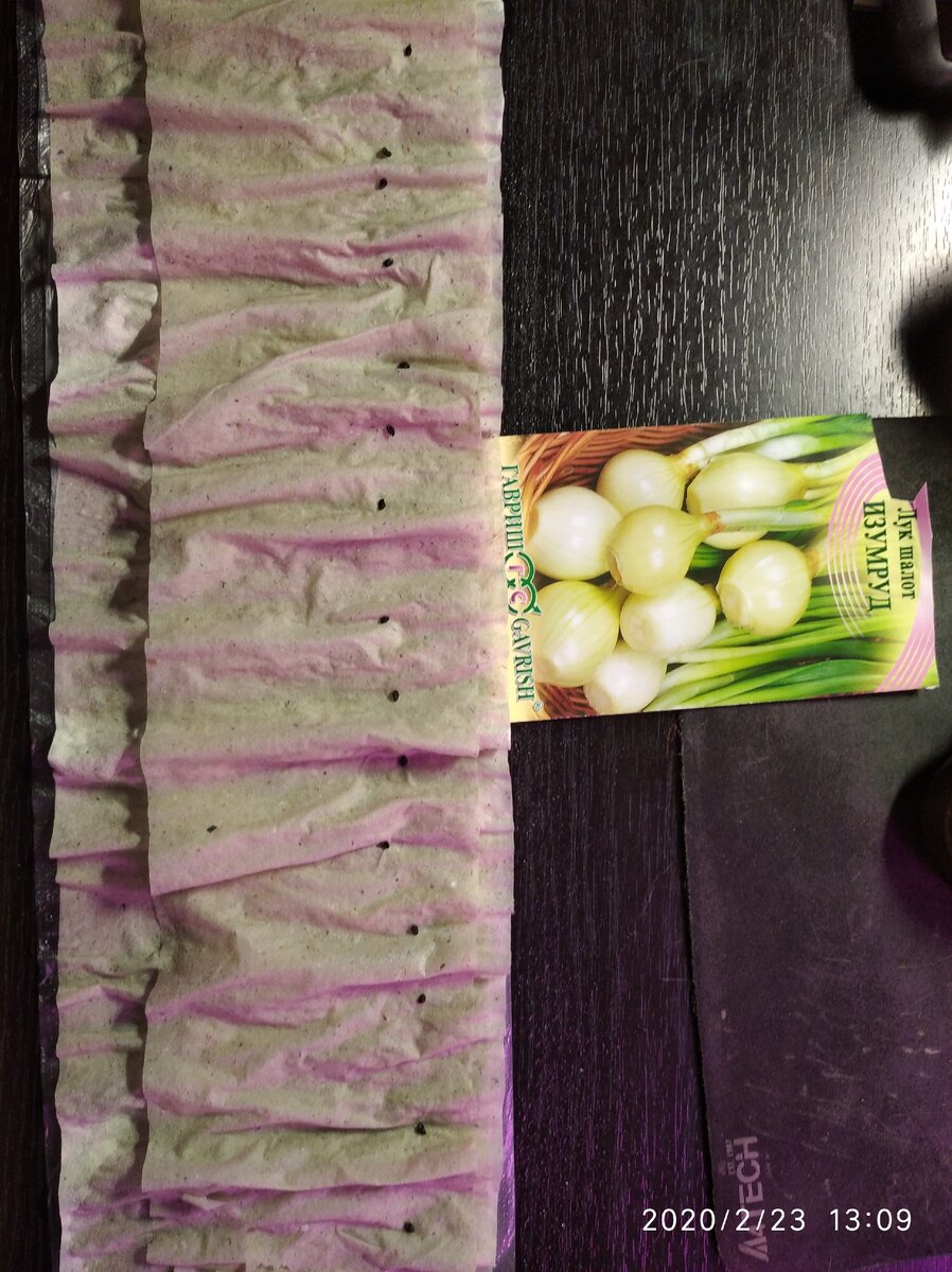 -2-2