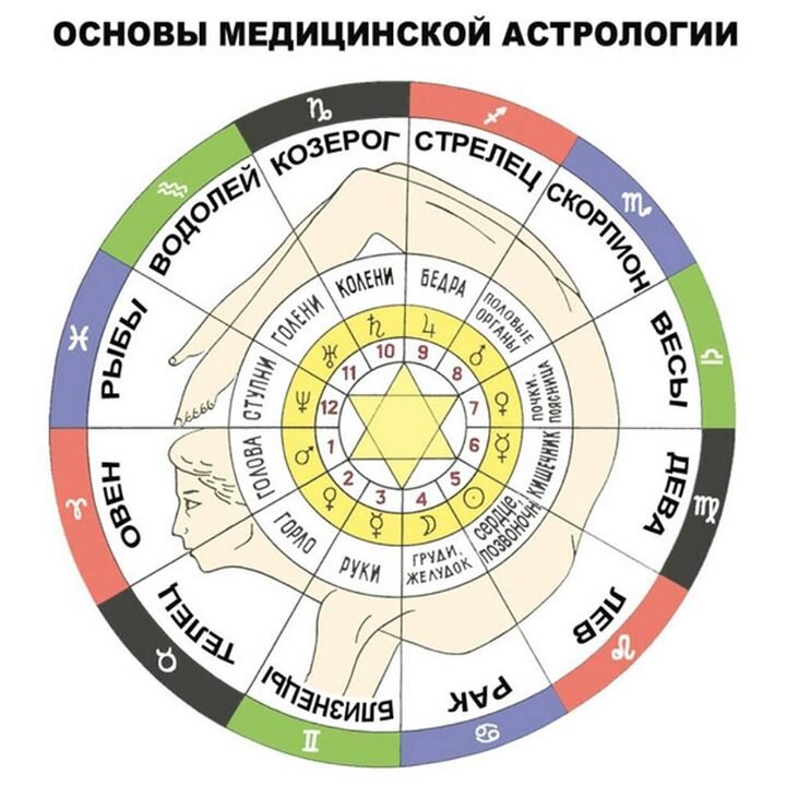 Основы медицинской астрологии. Источник: Я.Картинки