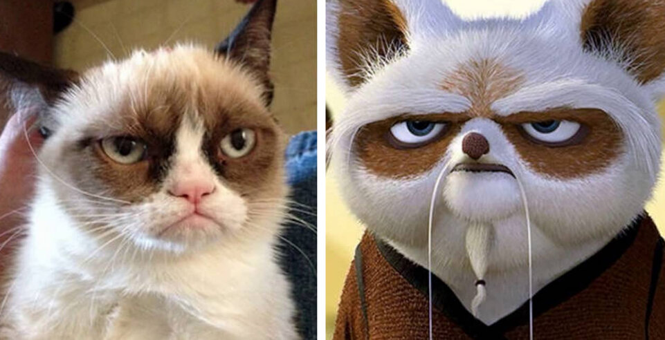 Шифу и грустный кот (извиняюсь что для заставки выбран пример не из Диснея)