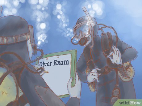Источник картинки: https://ru.wikihow.com